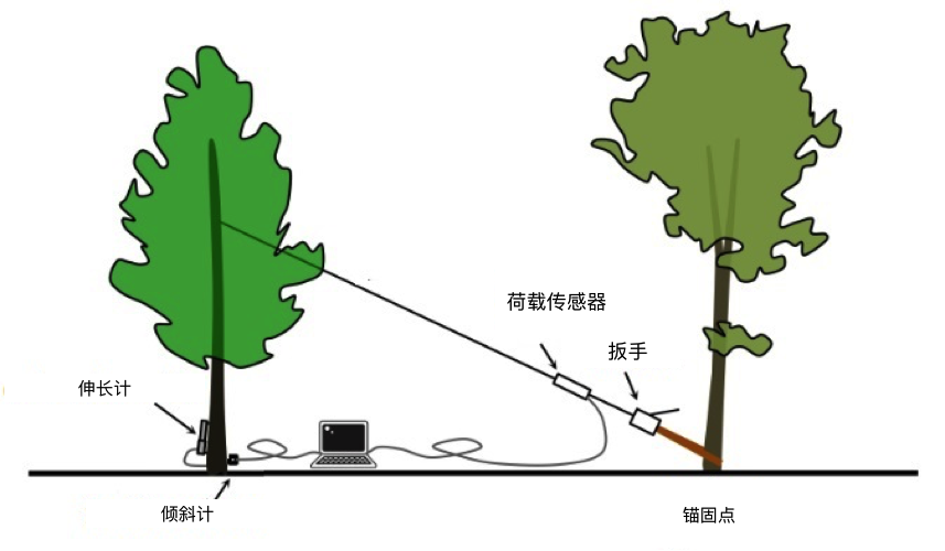 z6com尊龙凯时(中国游)官方网站